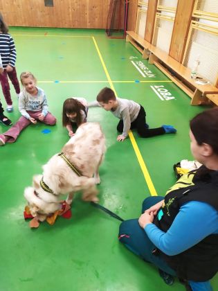 Fotografie img-20241129-wa0013_original.jpg