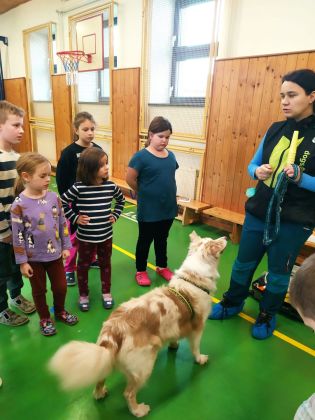 Fotografie img-20241129-wa0014_original.jpg