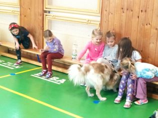 Fotografie img-20241129-wa0015_original.jpg