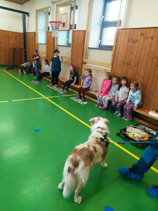 Fotografie img-20241129-wa0016_original.jpg