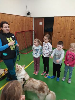 Fotografie img-20241129-wa0017_original.jpg