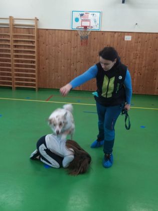 Fotografie img-20241129-wa0018_original.jpg