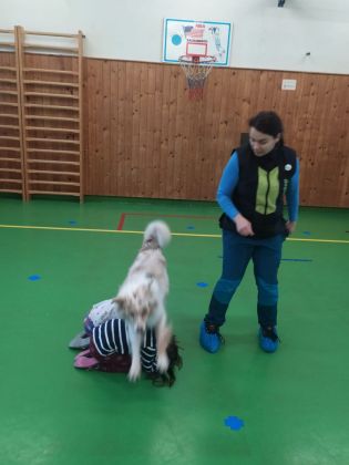 Fotografie img-20241129-wa0019_original.jpg