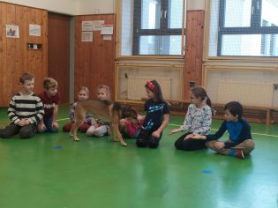 Fotografie img-20241129-wa0020_original.jpg