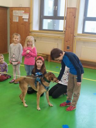 Fotografie img-20241129-wa0021_original.jpg