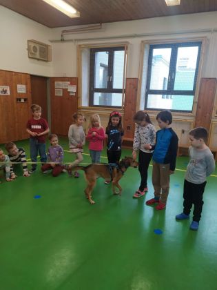 Fotografie img-20241129-wa0022_original.jpg