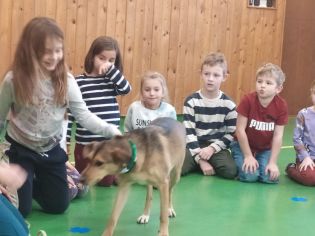 Fotografie img-20241129-wa0024_original.jpg