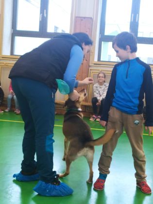 Fotografie img-20241129-wa0027_original.jpg