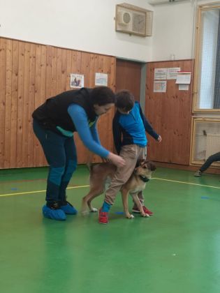 Fotografie img-20241129-wa0028_original.jpg