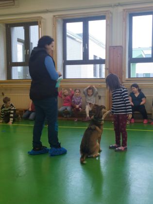 Fotografie img-20241129-wa0029_original.jpg