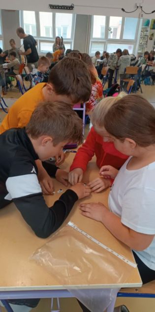 Fotografie img-20250602-wa0011_original.jpg