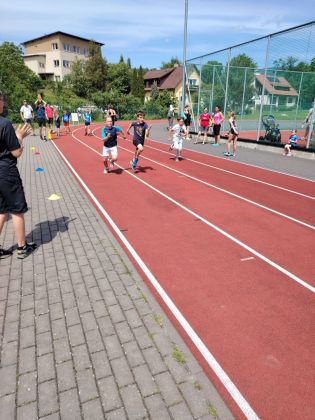 Fotografie img-20250609-wa0051_original.jpg