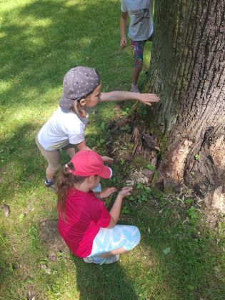 Fotografie img-20250618-wa0021_original.jpg