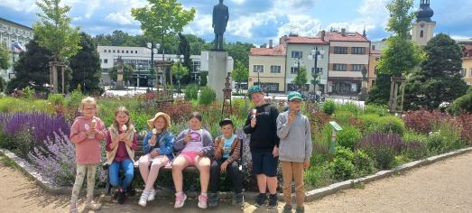 Fotografie img-20250624-wa0057_original.jpg