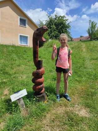 Fotografie img_20250624_124002_original.jpg