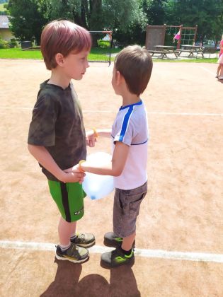 Fotografie img-20250625-wa0007_original.jpg