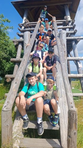 Fotografie img-20250625-wa0020_original.jpg