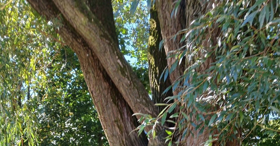 Hledání pokladu v 2. A