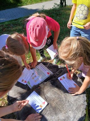 Fotografie img-20250905-wa0002_original.jpg