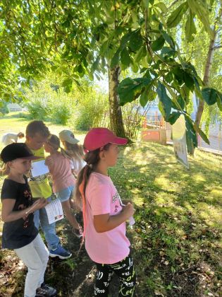 Fotografie img-20250905-wa0004_original.jpg