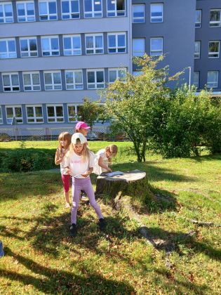 Fotografie img-20250905-wa0005_original.jpg