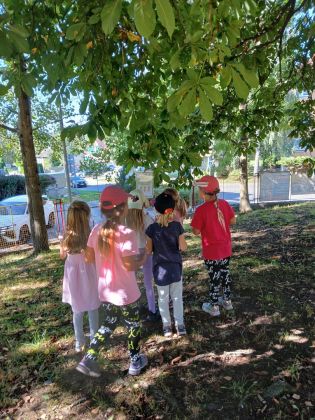 Fotografie img-20250905-wa0006_original.jpg