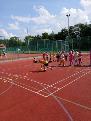 Fotografie img-20250905-wa0008_original.jpg