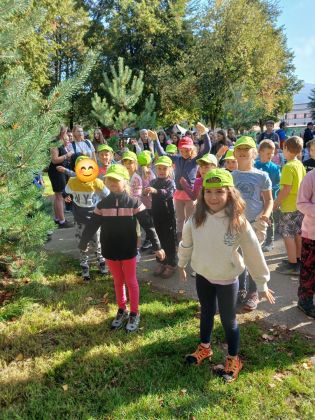 Fotografie img-20250910-wa0008_original.jpg