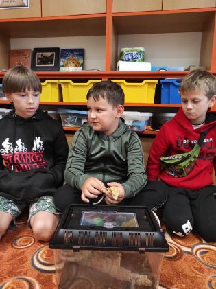 Fotografie img_20250910_080305_1_original.jpg