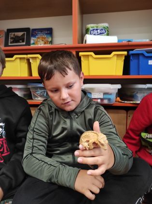 Fotografie img_20250910_080336_original.jpg