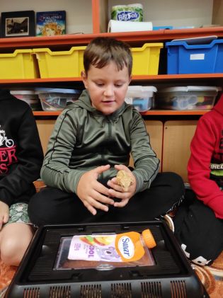 Fotografie img_20250910_080432_original.jpg