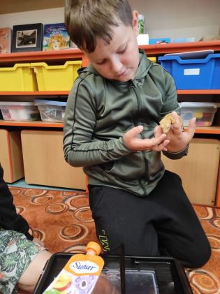 Fotografie img_20250910_082856_original.jpg