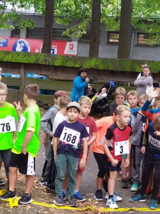 Fotografie img-20250912-wa0017_original.jpg