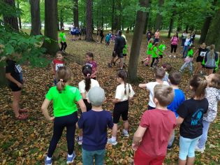 Fotografie img-20250912-wa0019_original.jpg