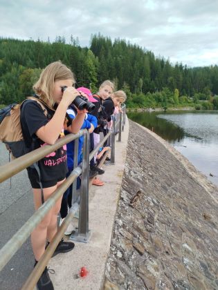 Fotografie img-20250912-wa0013_original.jpg