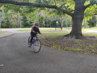 Fotografie img_20250917_103159_original.jpg