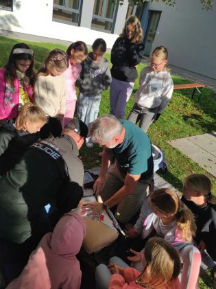 Fotografie img_20250919_090023_original.jpg