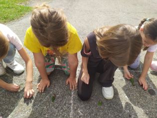 Fotografie img-20250924-wa0009_original.jpg