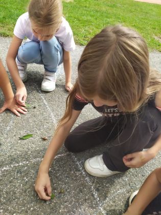 Fotografie img-20250924-wa0010_original.jpg