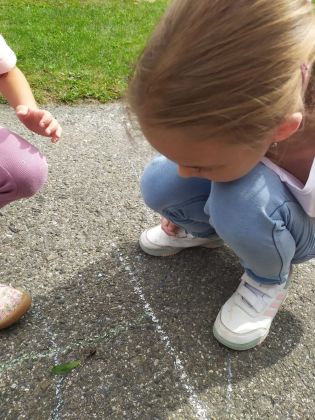 Fotografie img-20250924-wa0011_original.jpg