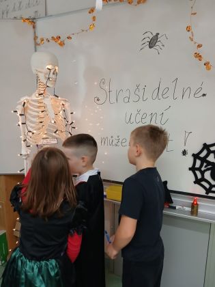 Fotografie img-20251031-wa0003_original.jpg