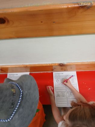 Fotografie img-20251031-wa0007_original.jpg