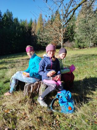 Fotografie img-20251107-wa0005_original.jpg