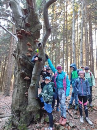 Fotografie img-20251107-wa0007_original.jpg