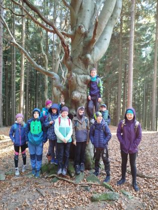 Fotografie img-20251107-wa0009_original.jpg