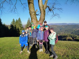 Fotografie img-20251107-wa0013_original.jpg