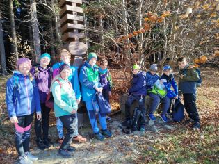 Fotografie img-20251107-wa0015_original.jpg