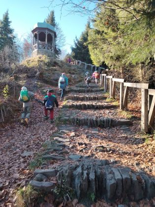 Fotografie img-20251110-wa0004_original.jpg