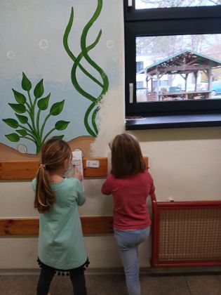 Fotografie obrazek_whatsapp_2025-11-11_v_182144_347_original.jpg