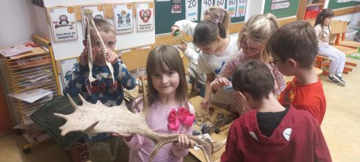 Fotografie img-20251112-wa0000_original.jpg